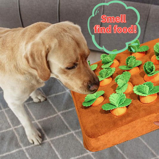 Hundeleker gulrot plysj leketøy vegetabilsk tyggeleke for hunder. snusmatte for hund
