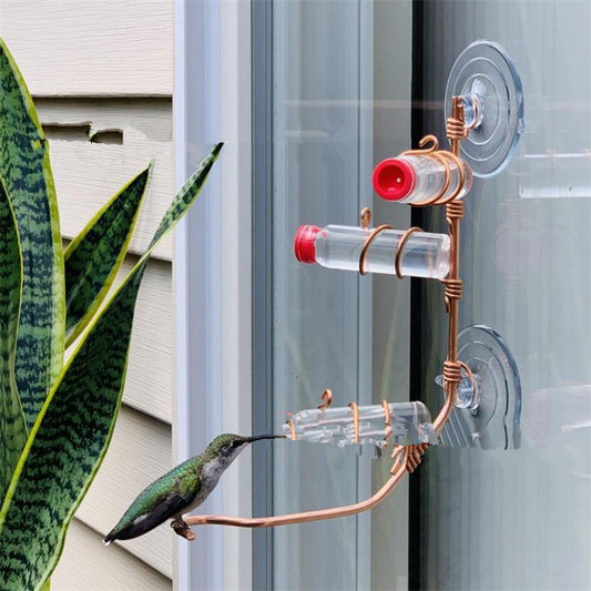 Hagefuglmaterutstyr Hummingbird Mater Drikkesugekopp Lett å rengjøre Dekk Hagedekor Fuglematere for ville fugler
