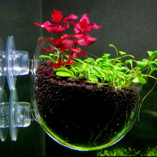 Aquarium Fish Tank Mini Krystallglass Pot Polka 