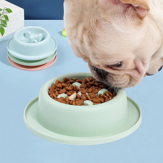 Pet Slow Food Bowl Anti-kvelningsmatapparat